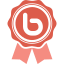 win social media piconic icon 64x64